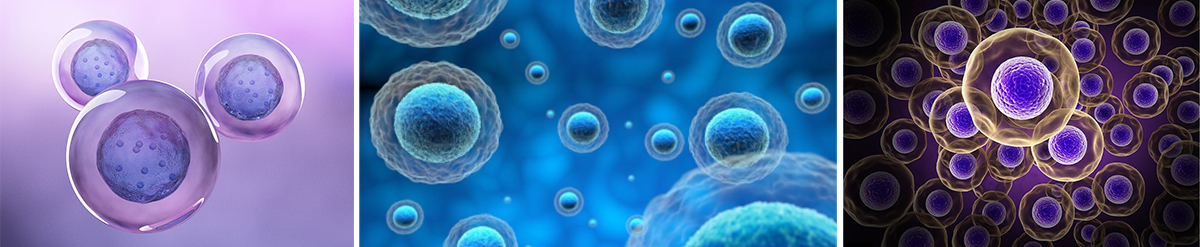 倒置生物显微镜