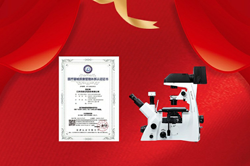 载誉深耕，逐光致远｜回顾2025，88858cc永利实干创佳绩、乘势向未来